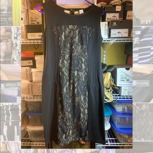 Black Stretch Lace Dress